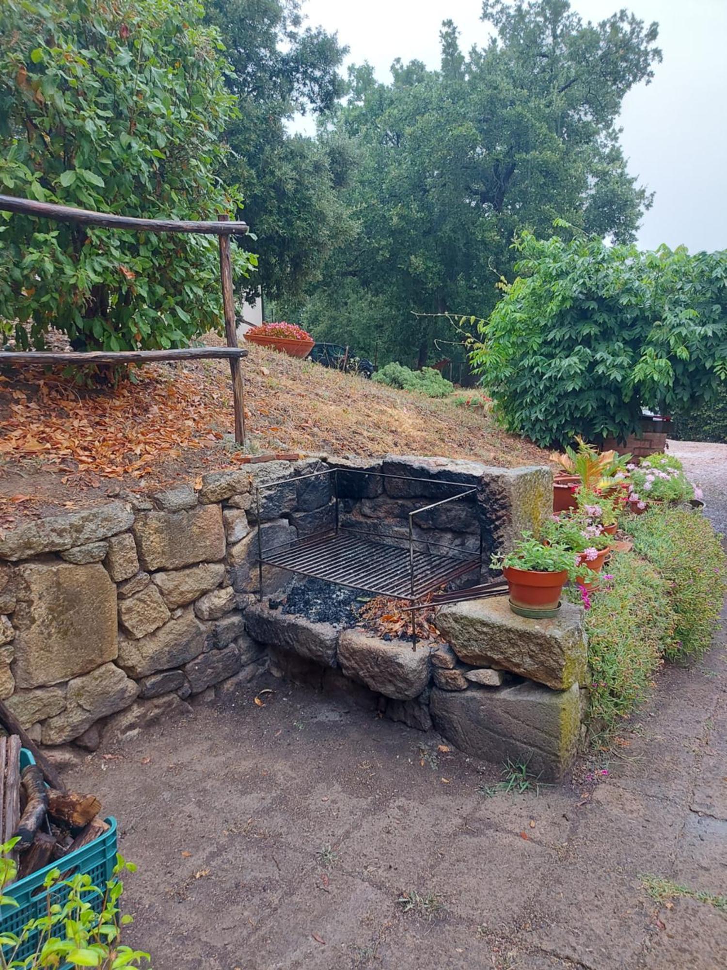 Agriturismo Il Giovannello Roccastrada Exterior photo